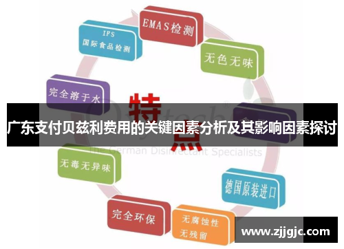 广东支付贝兹利费用的关键因素分析及其影响因素探讨