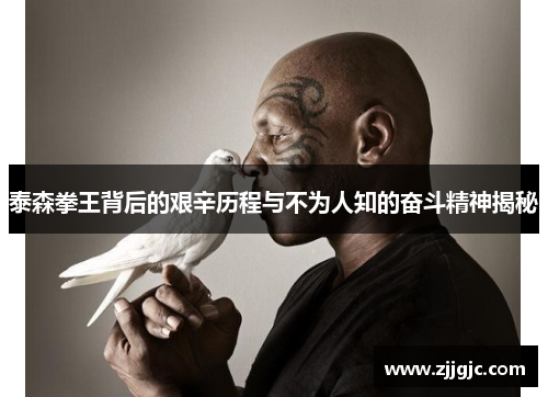 泰森拳王背后的艰辛历程与不为人知的奋斗精神揭秘